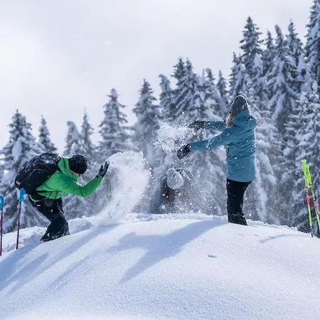 Apartment Appartementhaus Kostenzer