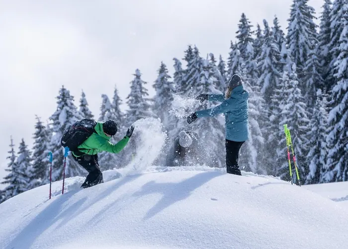Apartment Appartementhaus Kostenzer